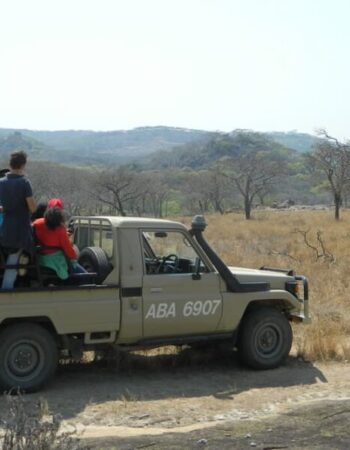 Jabulani Safaris Activities