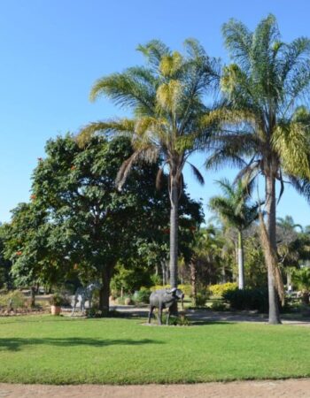 Grand Palm Lodge
