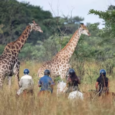 Chengeta Safari Lodge