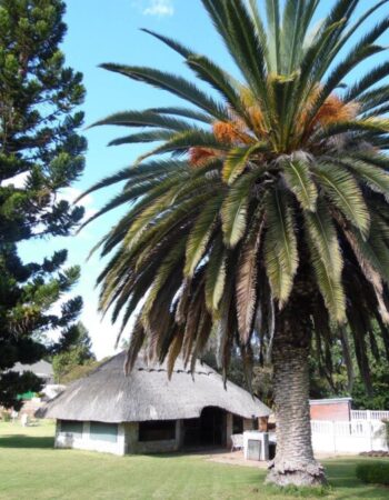 Villa Celia Guest House