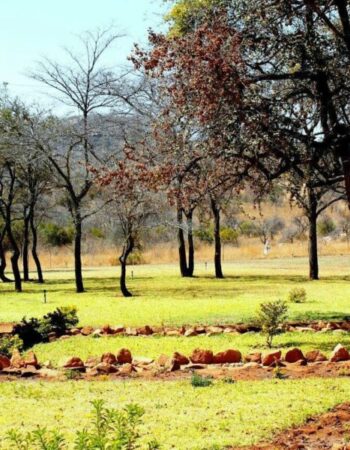 Wandile Umuzi lodge
