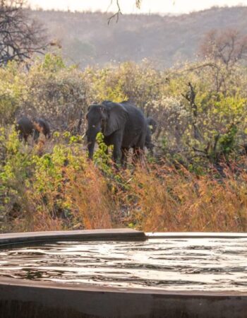Bumbusi Wilderness Camp