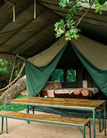 Hippo Pools Wilderness Camp (Closed)