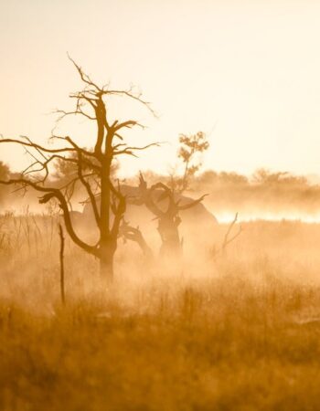 Khami Lodge