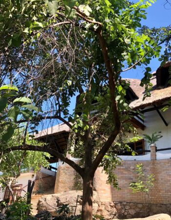 Bush Babies Bed & Breakfast