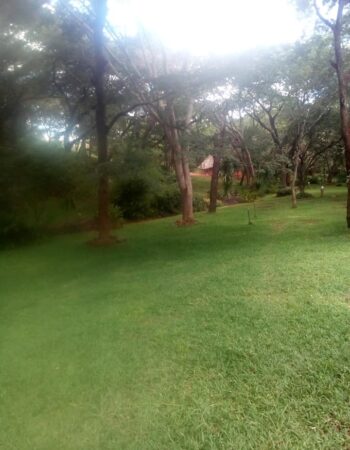 Nyuni Mountain Lodge