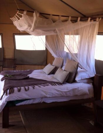 Miombo Safari Camp
