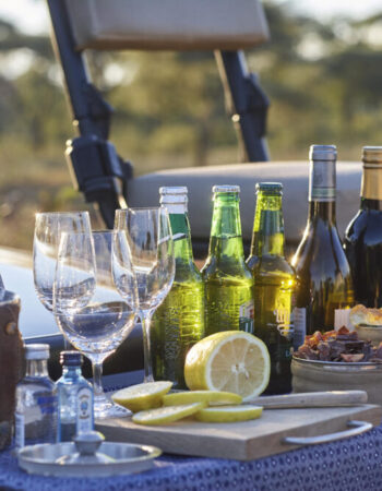 Singita Malilangwe House