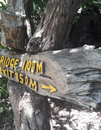 Victoria Falls National Park