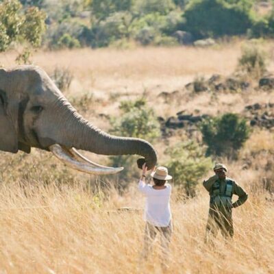 Imire Game Park & Lodges