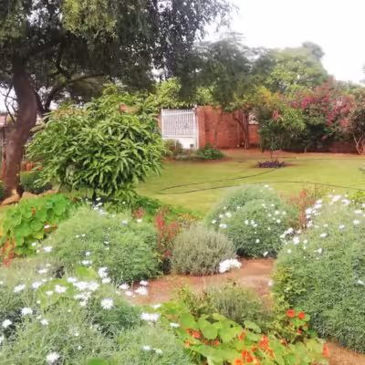 Savanna Guesthouse