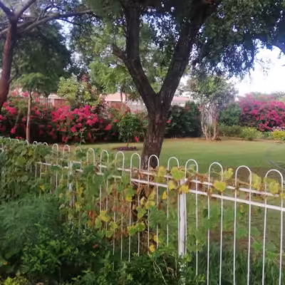 Savanna Guesthouse