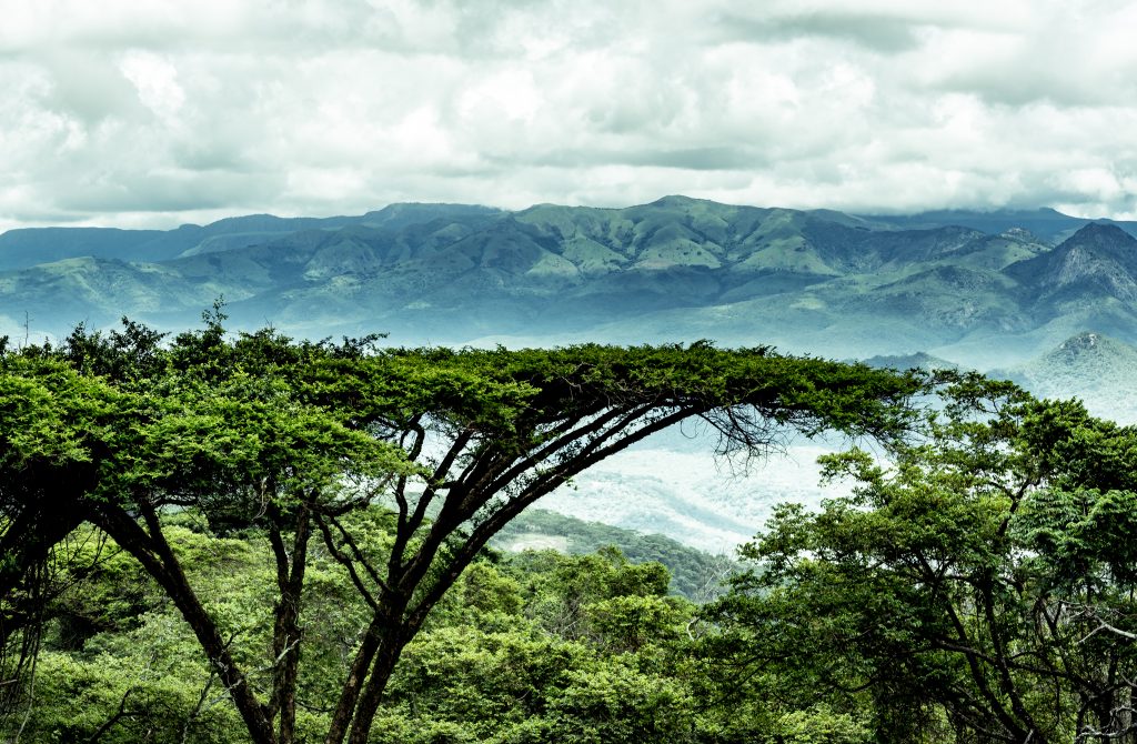 Bvumba Mountains