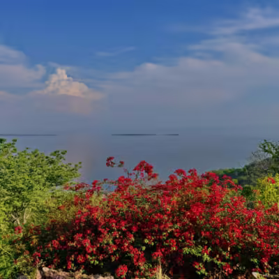 Crowned Eagle Boutique Hotel