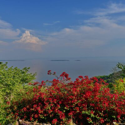 Crowned Eagle Boutique Hotel