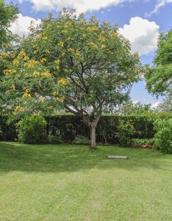 Ebuhleni Guest Lodge