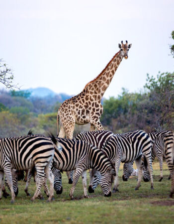Farmhouse Lodge Matopos