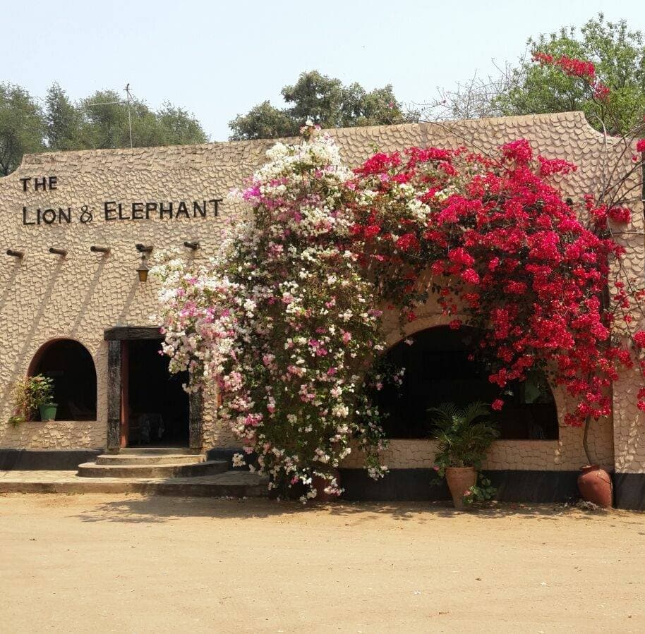 Lion and Elephant Motel