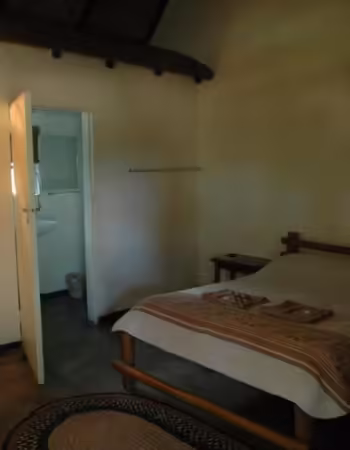 Lion and Elephant Motel
