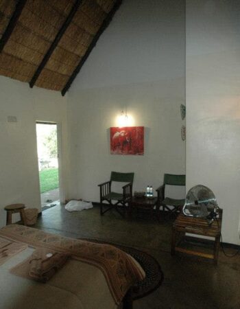 Lion and Elephant Motel