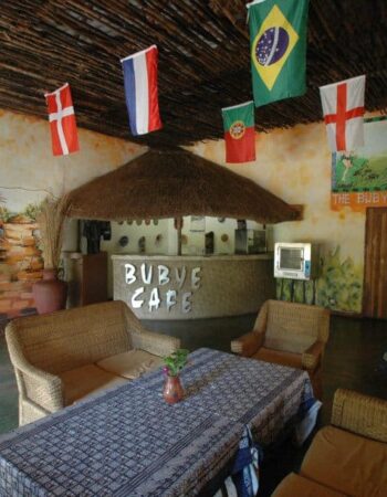 Lion and Elephant Motel