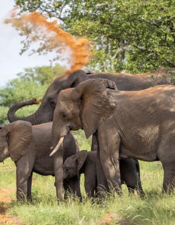 Malilangwe Wildlife Reserve