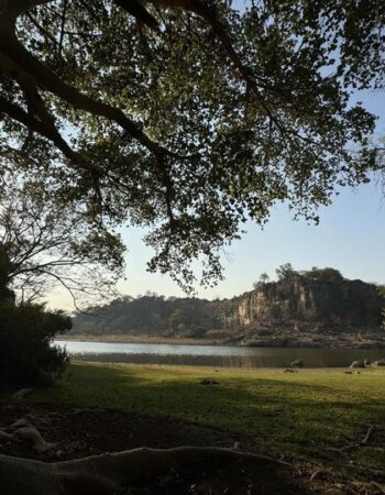 Malilangwe Wildlife Reserve