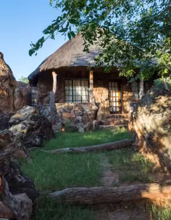 Sentinel Limpopo Eco Safaris