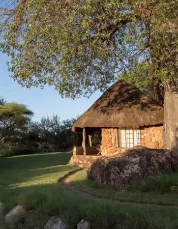 Sentinel Limpopo Eco Safaris