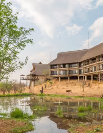 Victoria Falls Safari Club
