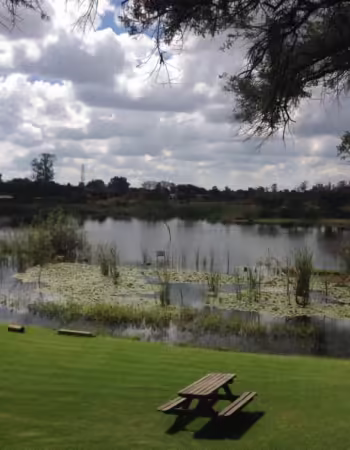 Kingfisher Park