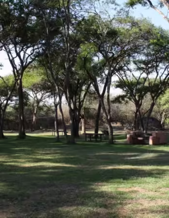 Mbizi Game Park