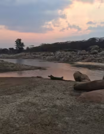 Mbizi Game Park