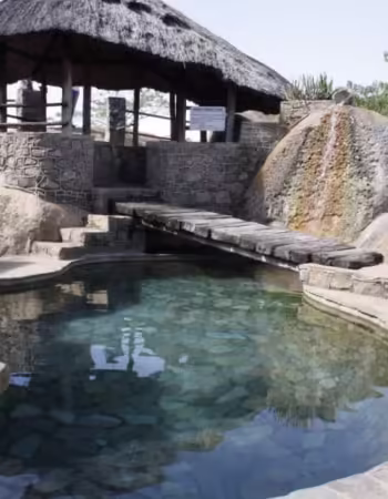 Mbizi Game Park