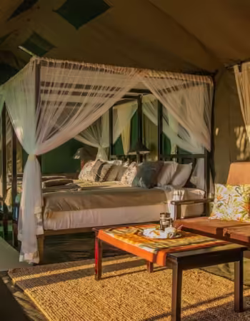 Sian Simba River Lodge