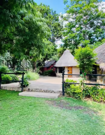 Lion Park Harare