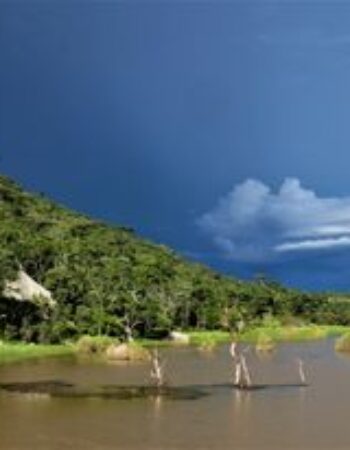 Thetford Game Reserve