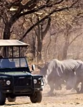 Thetford Game Reserve