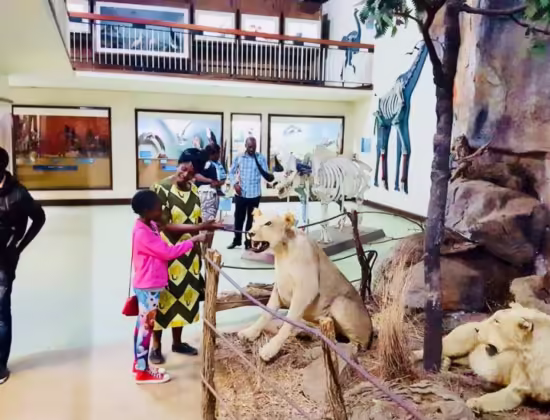 Zimbabwe Museum of Human Sciences