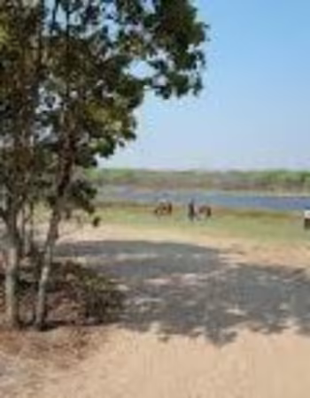 Haka Game Park