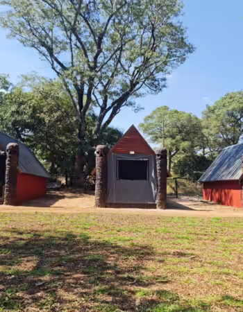 Kuimba Shiri Bird Park
