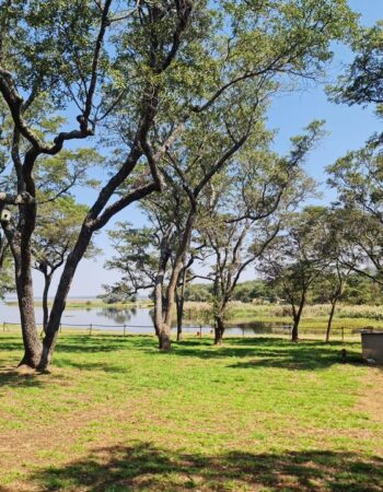 Kuimba Shiri Bird Park