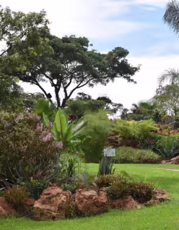 Manna Safari Lodge