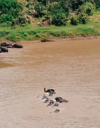 Chilo Gorge Safari Lodge