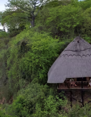 Chilo Gorge Safari Lodge