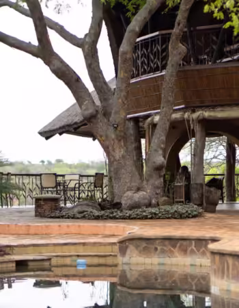 Chilo Gorge Safari Lodge