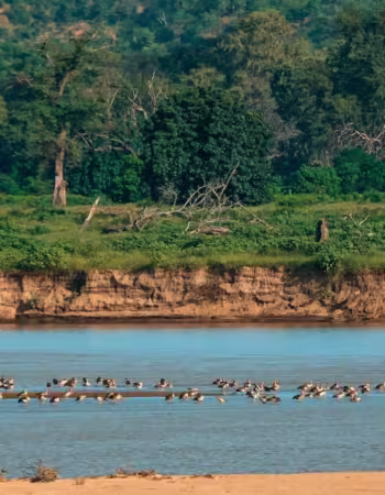 Chilo Gorge Safari Lodge