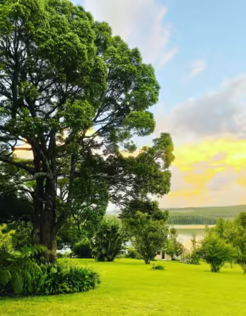 Lake Alexander Country Resort