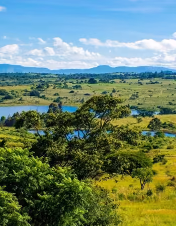 Brondesbury Park Hotel Nyanga