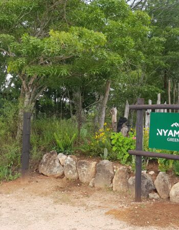Nyamazi Greens